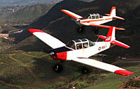 Top Dog Air Combat
