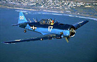 WWII Warbird Rides with Loops and Rolls