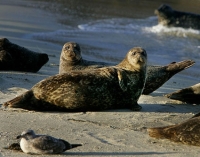 San Diego Photography Walking Tour