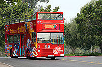 San Diego Double Decker All Loops Tour