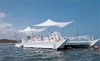Marinarium departing from Punta Cana