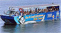 San Diego Seals