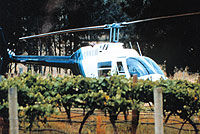 Hunter Valley Luncheon Tour by Helicopter