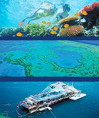 Reef Discovery by Helicopter from Airlie Beach