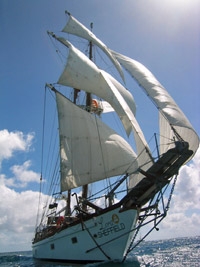 The Pirates of St Maarten Day Cruise