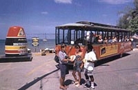 Old Town Trolley Tours of Key West
