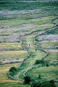 Dublin Rail Tour: Cliffs of Moher, Burren and Galway Bay