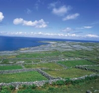 Scenic Flight to The Aran Islands and Galway Tour