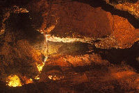 Lipica Stud Farm and Skocjan Caves Day Tour from Ljubljana
