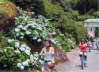 Blue Mountain Bicycle Tour Departing from Kingston