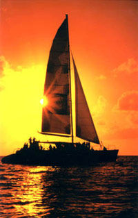 Tango Caribbean Dinner Cruise