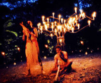 Flames of the Forest Dining Experience