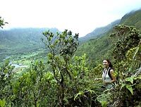 Oahu Mountain Rainforest Adventure