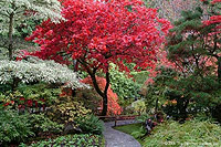 Butchart Gardens and Victoria - Private Tour