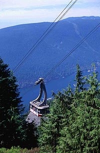 Private Tour to Capilano Suspension Bridge and Grouse Mountain
