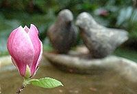 Private Tour to Victoria and Butchart Gardens from Vancouver