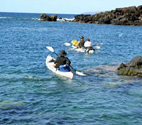 Kayak and Snorkel - Maui West Shore