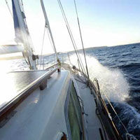 Sydney Eco Whale Watching Small Group Cruise