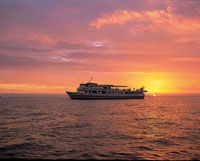 Nadi Dinner Cruise and Cultural Show
