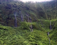 Complete Island of Maui Helicopter Tour
