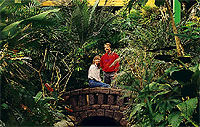 Butchart Gardens and Butterfly Gardens Tour