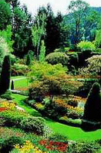 Butchart Gardens Tour from Victoria