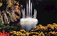 Grand City Drive and Butchart Gardens