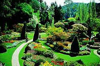 Grand City Drive and Butchart Gardens