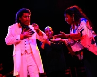 Flamenco Show