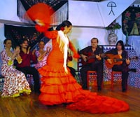 Traditional Andalusian Dinner and Flamenco Show in Barcelona