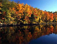 Gatineau Park Fall Foliage Tour