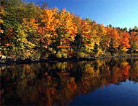 Gatineau Park Fall Foliage Tour