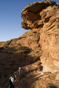 48 Hour Uluru (Ayers Rock) and Outback Eco-Pass plus Sounds of Silence Dinner