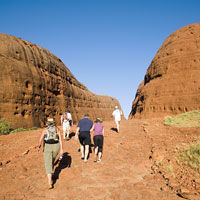 Australia Ayers Rock - Kata Tjuta the Olgas and Dunes Small Group Sunset Tour from Ayers Rock activities