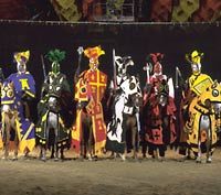 Medieval Times Dinner and Tournament in Lyndhurst
