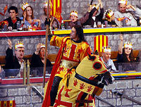 Medieval Times Dinner and Tournament in Lyndhurst
