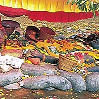 Kakani, Shivapuri and Budhanilkantha Full Day Private Tour
