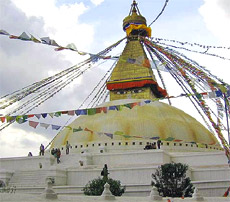 Kathmandu City and Temple Full Day Private Tour