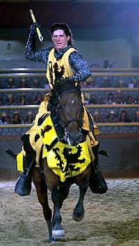 Medieval Times Dinner and Tournament in Chicago
