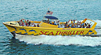 Dolphin Racer