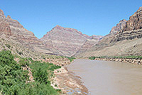 Grand Canyon Adventure
