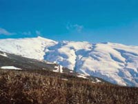 Day Tour to Sierra Nevada