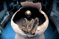 Archaeological Tour of Tulor and Quitor