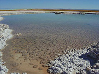 Half Day Excursion to the Cejas Lagoon