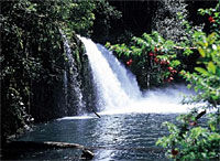 Puyehue National Park
