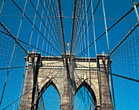 The Bronx Walking Tour