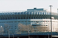 The Bronx Walking Tour