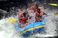American River Rafting and San Francisco Wine Tour