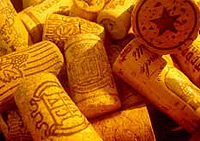 Muir Woods and Wine Country 2 Day Hotel Tour