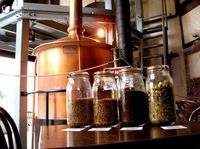 Muir Woods and Brewery Tour